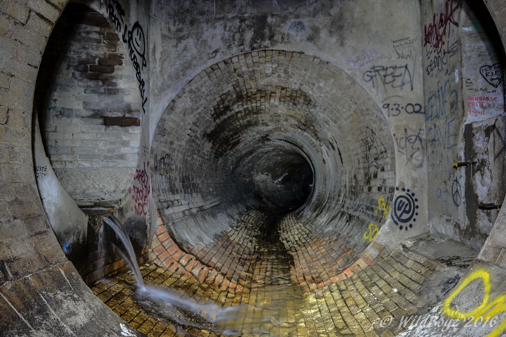 Burford's Batcave, Brisbane December 2015 Oblivion State Urban